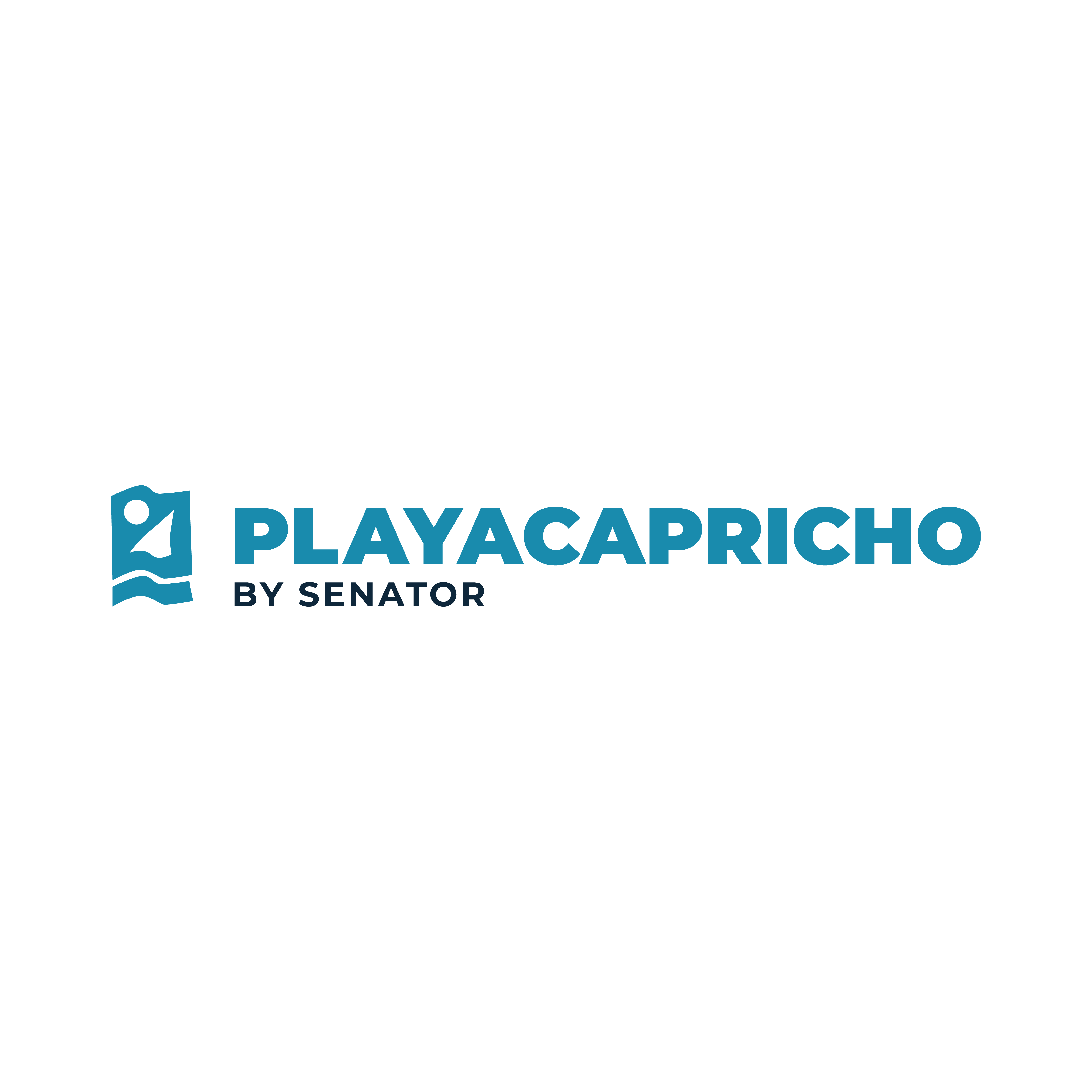 000_alta_Logo Playacarpicho horizontal color.png